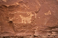 Potash Road Petroglyphs, Colorado River