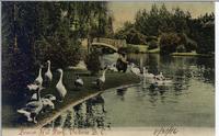 Beacon Hill Park, Victoria B.C.