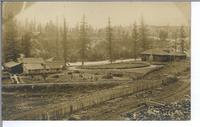 [View of a several dwellings and railroad tracks in Wycliffe, B.C.]