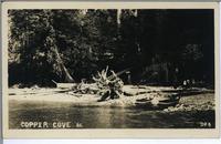 Copper Cove B.C