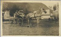 [Family in a horse drawn carriage in Stewart, B.C.]