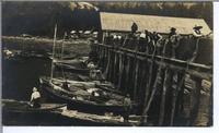 [Men pulling fish nets up onto a wharf in Stewart, B.C.]