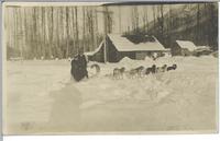 [Man and woman with a dog sled team in Stewart, B.C.]