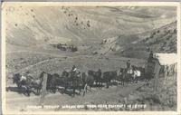 Cariboo Freight Wagon and Team Near Ashcroft in 1890's