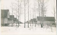 [Doukhobor village in the snow in Buchanan, Saskatchewan]