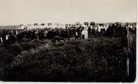 [Large group of Doukhobors facing the opposite direction in an unknown location]