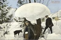 Snow Mushroom, Revelstoke, B.C.