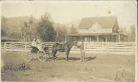 [Horse and buggy in front of a house]