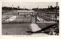 The Swimming Pool, Hume Park, New Westminster, B.C.
