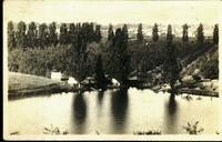 [Orchard and lake in Kelowna, B.C.]