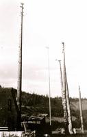 Totem Poles of Gitsegukla