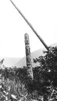 Pole of Luuya'as