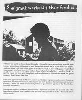 Ontario Tolpuddle Farm Labour Information Committee : Pamphlet 3 : Migrant workers and their families