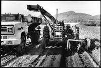 A Time To Change Exhibition. Photo 15 by Craig Berggold. Farmworkers operating heavy equipment harvesting carrots at Fraser Valley Frozen Foods, Chilliwack, BC, October 1983.