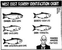 West Coast Fishery Identification Chart