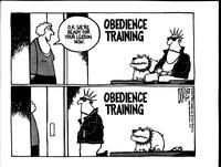 Obedience training "O.K. We're ready for your lesson now."