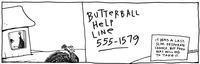 Butterball help line 555-1579