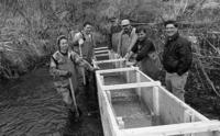 L to R. Faon Steele, Glen Skipper, John Wright, Gerald Mayea, Le Kolosoff, Clay Young (Project manager); UFAWU [United Fishermen and Allied Workers Union] jobs project, building fish ladder Englishman River