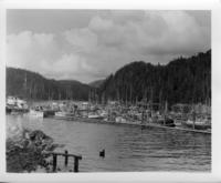 [View of numerous fishing boats at a marina in Namu, B.C.]