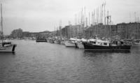 [Numerous fishing boats at the Inner Harbour in Victoria, B.C.]