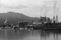 [View of a large fishery processing facility and waterfront area from the water]