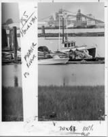 [View of docked fishing boats on the Fraser River from shore]
