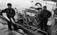 Skeena fisheries collecting, Prince Rupert