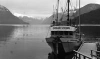 Stream assessment Jervis Inlet re: chum salmon stocks