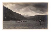 Memories of Bootahnie Valley Camp, July, 1929