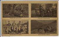 Multiview - Hunting in British Columbia (on reverse)