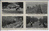 Multiview - Agriculture in British Columbia (on reverse)