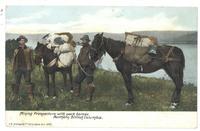 Mining Prospectors with pack horses, Northern B.C.