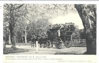 Victoria Transfer Co.'s Tally Ho on its regular drive through Beacon Hill Park, Victoria, B.C.