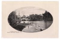 A Corner of the Lake, Beacon Hill Park, Victoria, B.C.