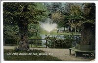 Lily Pond,  Beacon Hill Park,  Victoria,  B.C.