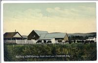 Ranching in East Kootenay Stock Ranch near Cranbrook, B.C.
