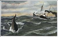Steamer Orion, Pacific Whaling Co., Ltd., Victoria, B.C.