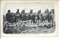 Ploughing, Great West of Canada