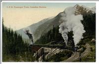 C.P.R. Passenger Train,  Canadian Rockies