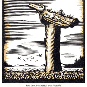 digital publishing collection image