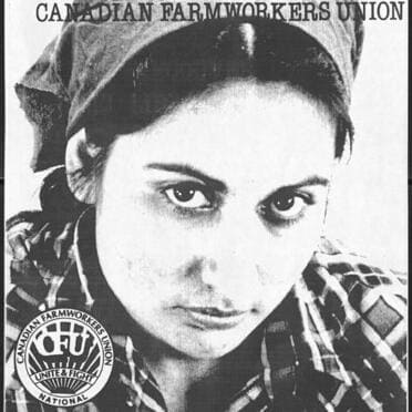 farmworkers collection image