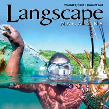 Licensed materials collection cover image
