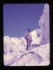 Alpine_002-Thumbnail Image.jpg