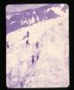 Alpine_004-Thumbnail Image.jpg