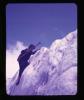 Alpine_007-Thumbnail Image.jpg