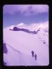 Alpine_017-Thumbnail Image.jpg