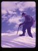 Alpine_018-Thumbnail Image.jpg