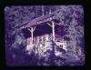 Alpine_025-Thumbnail Image.jpg