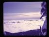 Alpine_027-Thumbnail Image.jpg
