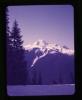Alpine_030-Thumbnail Image.jpg